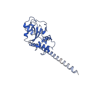 20258_6p5n_AF_v1-3
Structure of a mammalian 80S ribosome in complex with a single translocated Israeli Acute Paralysis Virus IRES and eRF1