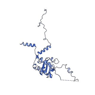 20258_6p5n_AG_v1-3
Structure of a mammalian 80S ribosome in complex with a single translocated Israeli Acute Paralysis Virus IRES and eRF1
