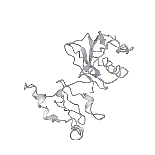 20258_6p5n_AK_v1-3
Structure of a mammalian 80S ribosome in complex with a single translocated Israeli Acute Paralysis Virus IRES and eRF1