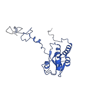 20258_6p5n_AQ_v1-3
Structure of a mammalian 80S ribosome in complex with a single translocated Israeli Acute Paralysis Virus IRES and eRF1