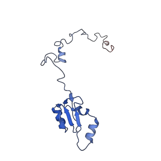 20258_6p5n_Aa_v1-3
Structure of a mammalian 80S ribosome in complex with a single translocated Israeli Acute Paralysis Virus IRES and eRF1