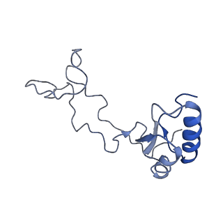 20258_6p5n_Ae_v1-3
Structure of a mammalian 80S ribosome in complex with a single translocated Israeli Acute Paralysis Virus IRES and eRF1