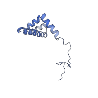 20258_6p5n_Ai_v1-3
Structure of a mammalian 80S ribosome in complex with a single translocated Israeli Acute Paralysis Virus IRES and eRF1