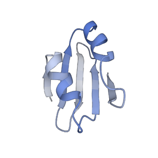 20258_6p5n_Ak_v1-3
Structure of a mammalian 80S ribosome in complex with a single translocated Israeli Acute Paralysis Virus IRES and eRF1