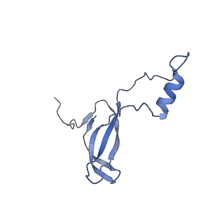 20258_6p5n_Ao_v1-3
Structure of a mammalian 80S ribosome in complex with a single translocated Israeli Acute Paralysis Virus IRES and eRF1