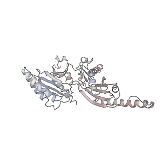 20258_6p5n_Aq_v1-3
Structure of a mammalian 80S ribosome in complex with a single translocated Israeli Acute Paralysis Virus IRES and eRF1