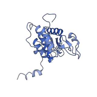 20258_6p5n_B_v1-3
Structure of a mammalian 80S ribosome in complex with a single translocated Israeli Acute Paralysis Virus IRES and eRF1