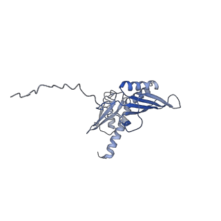20258_6p5n_E_v1-3
Structure of a mammalian 80S ribosome in complex with a single translocated Israeli Acute Paralysis Virus IRES and eRF1