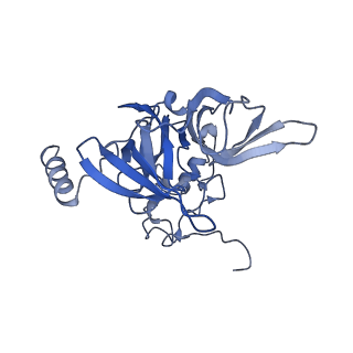 20258_6p5n_F_v1-3
Structure of a mammalian 80S ribosome in complex with a single translocated Israeli Acute Paralysis Virus IRES and eRF1