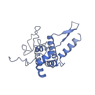 20258_6p5n_G_v1-3
Structure of a mammalian 80S ribosome in complex with a single translocated Israeli Acute Paralysis Virus IRES and eRF1