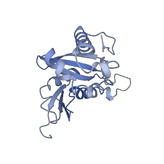 20258_6p5n_I_v1-3
Structure of a mammalian 80S ribosome in complex with a single translocated Israeli Acute Paralysis Virus IRES and eRF1