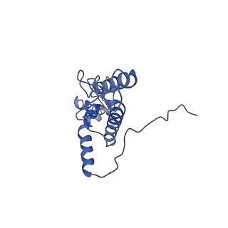 20258_6p5n_K_v1-3
Structure of a mammalian 80S ribosome in complex with a single translocated Israeli Acute Paralysis Virus IRES and eRF1