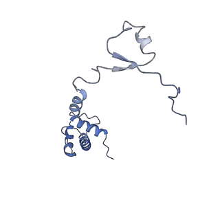 20258_6p5n_S_v1-3
Structure of a mammalian 80S ribosome in complex with a single translocated Israeli Acute Paralysis Virus IRES and eRF1