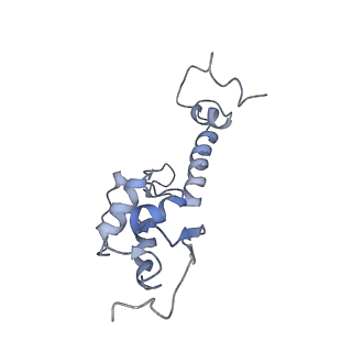 20258_6p5n_T_v1-3
Structure of a mammalian 80S ribosome in complex with a single translocated Israeli Acute Paralysis Virus IRES and eRF1