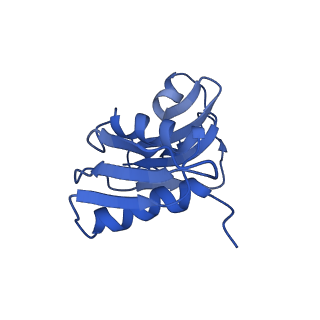 20258_6p5n_X_v1-3
Structure of a mammalian 80S ribosome in complex with a single translocated Israeli Acute Paralysis Virus IRES and eRF1