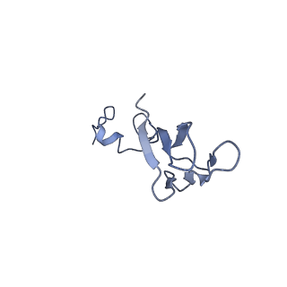 20258_6p5n_c_v1-3
Structure of a mammalian 80S ribosome in complex with a single translocated Israeli Acute Paralysis Virus IRES and eRF1
