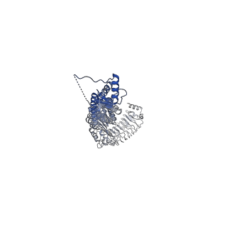 13213_7p60_B_v1-1
Structure of homomeric LRRC8A Volume-Regulated Anion Channel in complex with synthetic nanobody Sb4 at 1:0.5 ratio