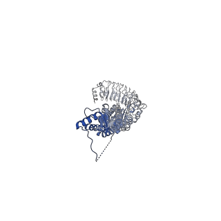 13213_7p60_D_v1-1
Structure of homomeric LRRC8A Volume-Regulated Anion Channel in complex with synthetic nanobody Sb4 at 1:0.5 ratio