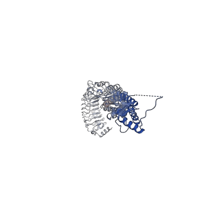 13213_7p60_F_v1-1
Structure of homomeric LRRC8A Volume-Regulated Anion Channel in complex with synthetic nanobody Sb4 at 1:0.5 ratio