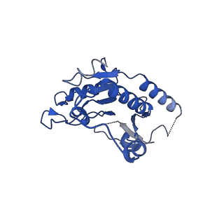 13214_7p61_B_v1-2
Complex I from E. coli, DDM-purified, with NADH, Resting state