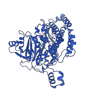 13214_7p61_C_v1-2
Complex I from E. coli, DDM-purified, with NADH, Resting state