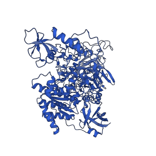 13214_7p61_G_v1-2
Complex I from E. coli, DDM-purified, with NADH, Resting state
