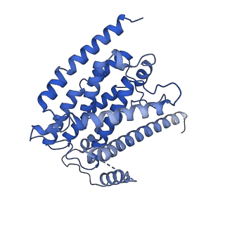 13214_7p61_H_v1-2
Complex I from E. coli, DDM-purified, with NADH, Resting state