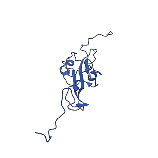 13214_7p61_I_v1-2
Complex I from E. coli, DDM-purified, with NADH, Resting state