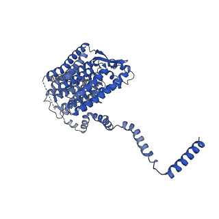 13214_7p61_L_v1-2
Complex I from E. coli, DDM-purified, with NADH, Resting state