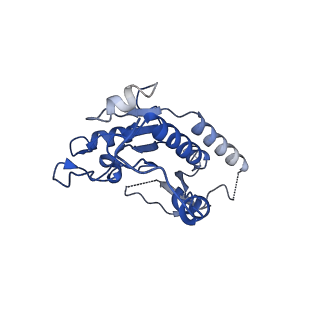 13215_7p62_B_v1-2
Complex I from E. coli, DDM-purified, Apo, Resting state