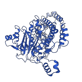 13215_7p62_C_v1-2
Complex I from E. coli, DDM-purified, Apo, Resting state