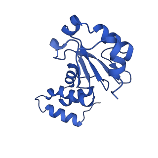 13215_7p62_E_v1-2
Complex I from E. coli, DDM-purified, Apo, Resting state