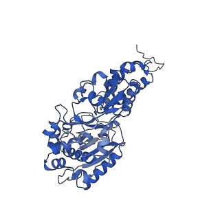 13215_7p62_F_v1-2
Complex I from E. coli, DDM-purified, Apo, Resting state