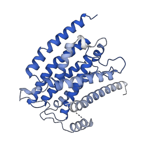 13215_7p62_H_v1-2
Complex I from E. coli, DDM-purified, Apo, Resting state
