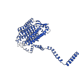 13215_7p62_L_v1-2
Complex I from E. coli, DDM-purified, Apo, Resting state