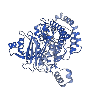 13222_7p69_C_v1-2
Complex I from E. coli, DDM/LMNG-purified, under Turnover at pH 6, Resting state