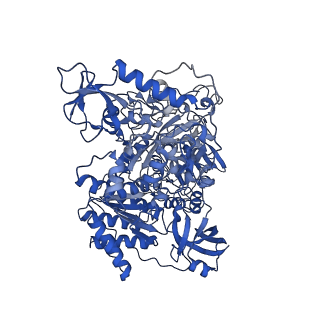 13222_7p69_G_v1-2
Complex I from E. coli, DDM/LMNG-purified, under Turnover at pH 6, Resting state