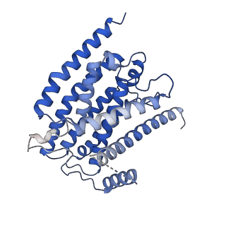 13222_7p69_H_v1-2
Complex I from E. coli, DDM/LMNG-purified, under Turnover at pH 6, Resting state
