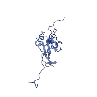 13222_7p69_I_v1-2
Complex I from E. coli, DDM/LMNG-purified, under Turnover at pH 6, Resting state