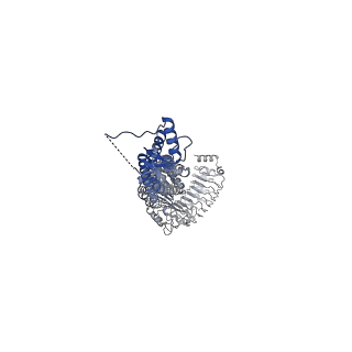 13230_7p6k_B_v1-1
Structure of homomeric LRRC8A Volume-Regulated Anion Channel in complex with synthetic nanobody Sb5