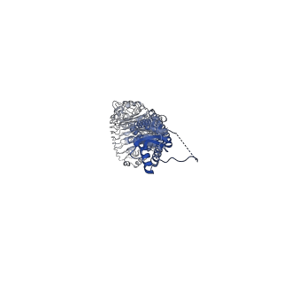 13230_7p6k_E_v1-1
Structure of homomeric LRRC8A Volume-Regulated Anion Channel in complex with synthetic nanobody Sb5