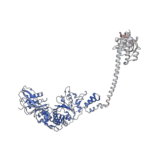 13232_7p6u_B_v1-1
Lon protease from Thermus Thermophilus