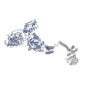 13232_7p6u_D_v1-1
Lon protease from Thermus Thermophilus