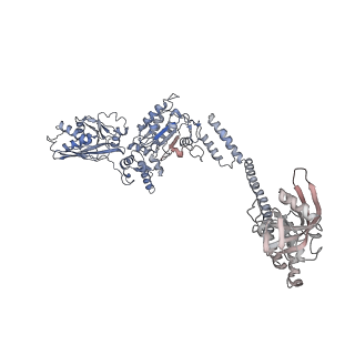 13232_7p6u_F_v1-1
Lon protease from Thermus Thermophilus