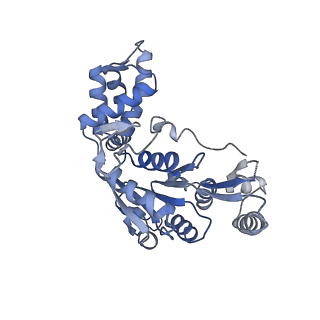 13233_7p6x_A_v1-1
Cryo-Em structure of the hexameric RUVBL1-RUVBL2 in complex with ZNHIT2