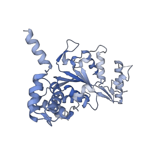 13233_7p6x_B_v1-1
Cryo-Em structure of the hexameric RUVBL1-RUVBL2 in complex with ZNHIT2