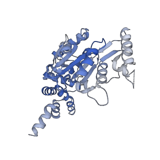 13233_7p6x_C_v1-1
Cryo-Em structure of the hexameric RUVBL1-RUVBL2 in complex with ZNHIT2
