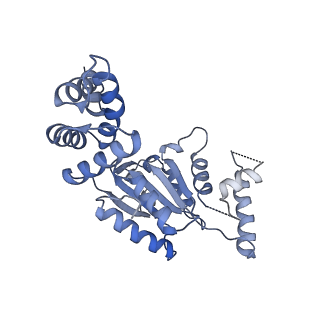 13233_7p6x_D_v1-1
Cryo-Em structure of the hexameric RUVBL1-RUVBL2 in complex with ZNHIT2