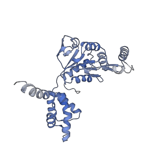 13233_7p6x_E_v1-1
Cryo-Em structure of the hexameric RUVBL1-RUVBL2 in complex with ZNHIT2