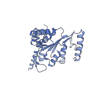 13233_7p6x_F_v1-1
Cryo-Em structure of the hexameric RUVBL1-RUVBL2 in complex with ZNHIT2